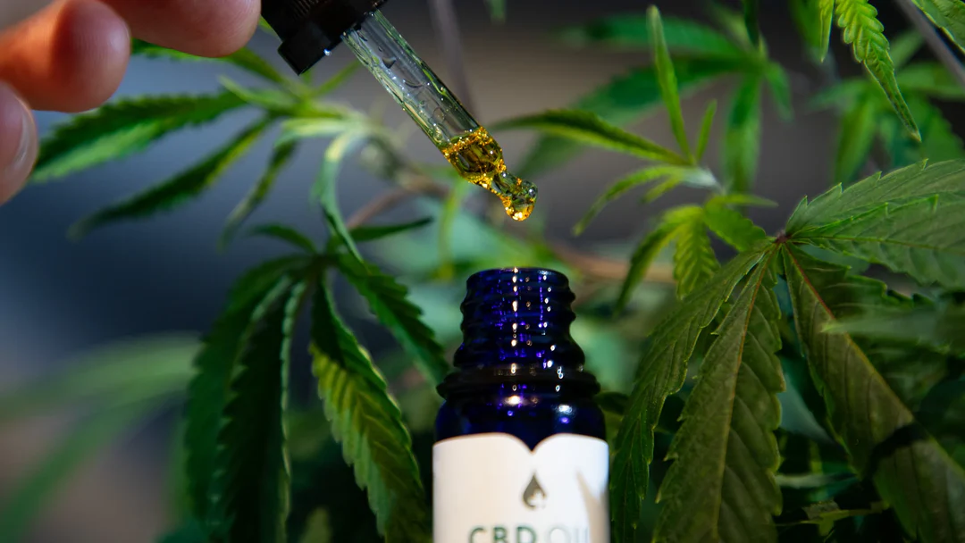 Premium BIO CBD-Öl «Regular THC» – Unterstützt Ihr Wohlbefinden – Bild 2