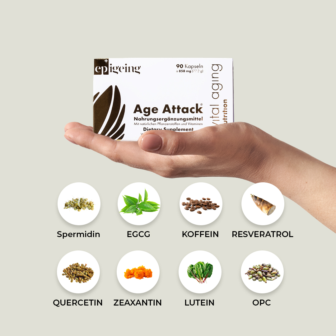 Age Attack® - Vital Aging Fördert zelluläre Vitalität – Bild 4